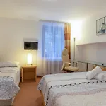 Guest house Sykovec Tri Studne