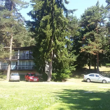 Sykovec *