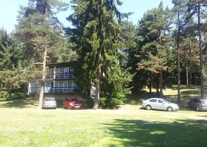 Sykovec *